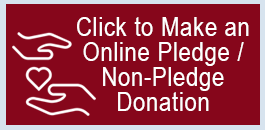 Online Pledge / Non-Pledge Donation